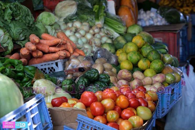 Pescado vuelve a los mercados m&aacute;s barato